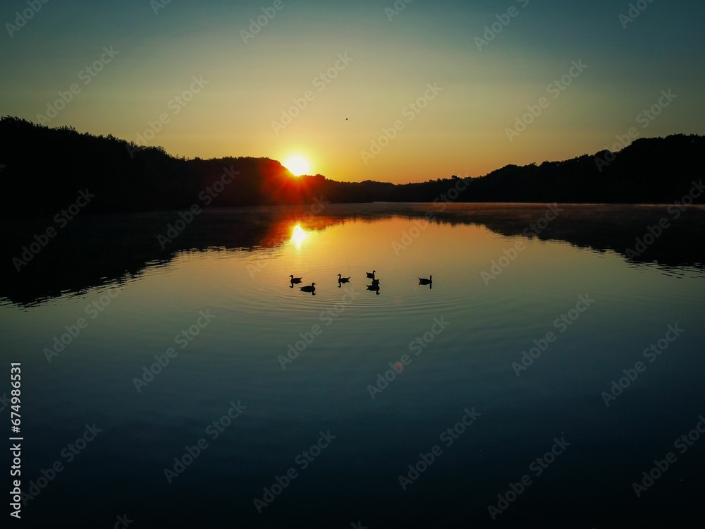 Aerial view of a flock of ducks in a lake at sunrise in Bruggen, Germany Aerial view of a flock of ducks in a lake at sunrise in Bruggen, Germany