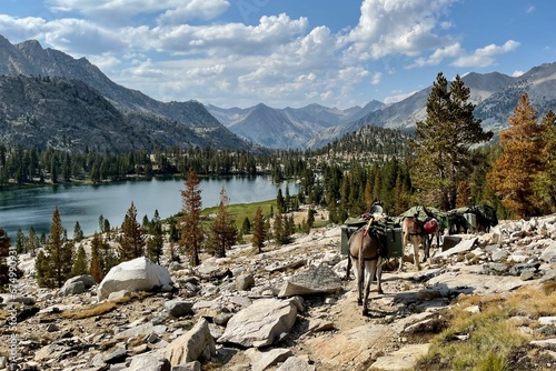 Donkeys carrying supplies in their saddlebags and walking through mountains, trees and a lake photo