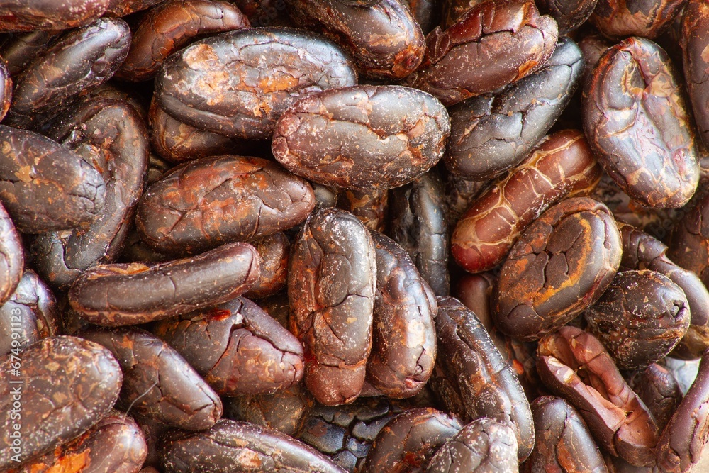 Closeup of cocoa beans on a pile Closeup of cocoa beans on a pile