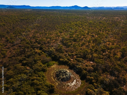 Aerial view of a waterhole surrounded by dense green forest on a sunny day