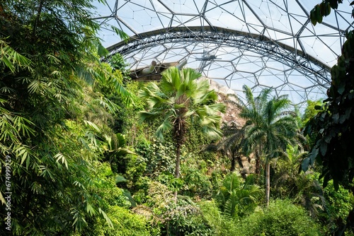 Scenic view of lush trees growing in the tropical biome at the Eden Project in Cornwall, UK