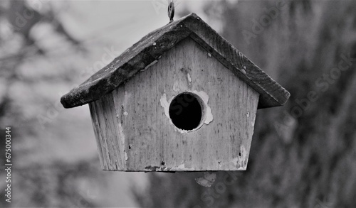 Ornamental birdhouse suspended from a tree branch with a wide entrance in black and white