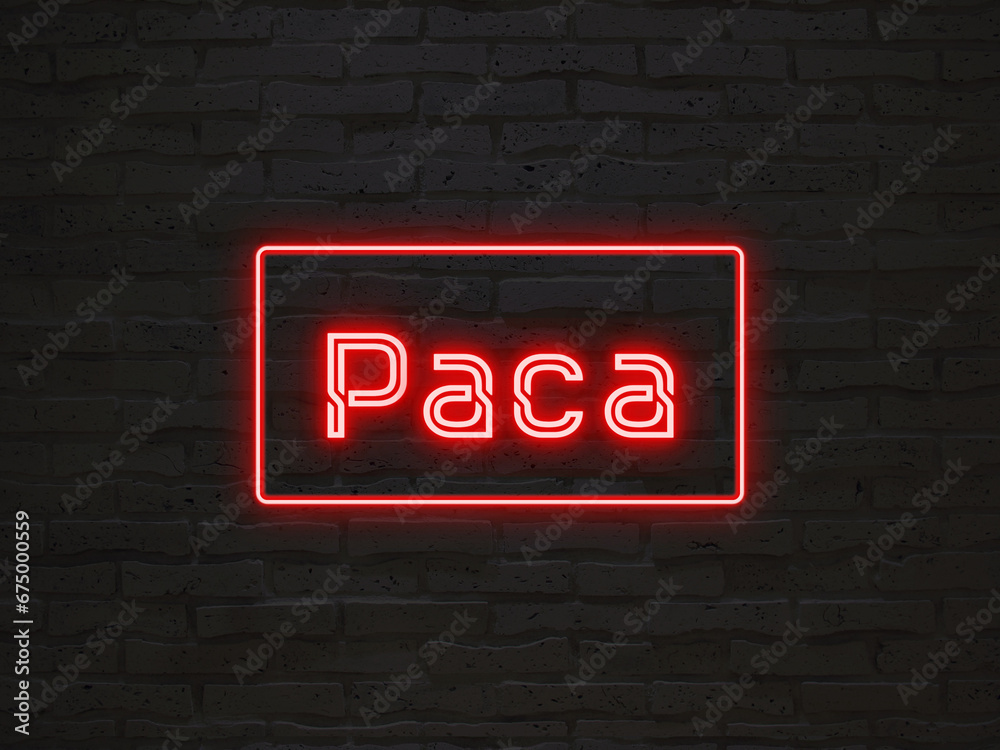 Paca のネオン文字 - obrazy, fototapety, plakaty 