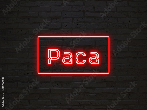 Paca のネオン文字