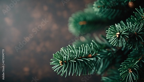 Close up of a green fir tree branch on a beautiful Christmas background with a trendy moody dark tone