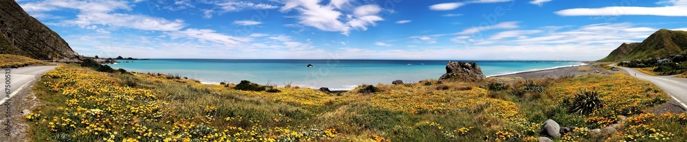 Scenic view of Cape Palliser in New Zealand