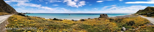 Scenic view of Cape Palliser in New Zealand