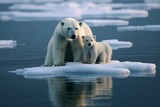 Polar bears are sitting on a large piece of ice floating in the waters