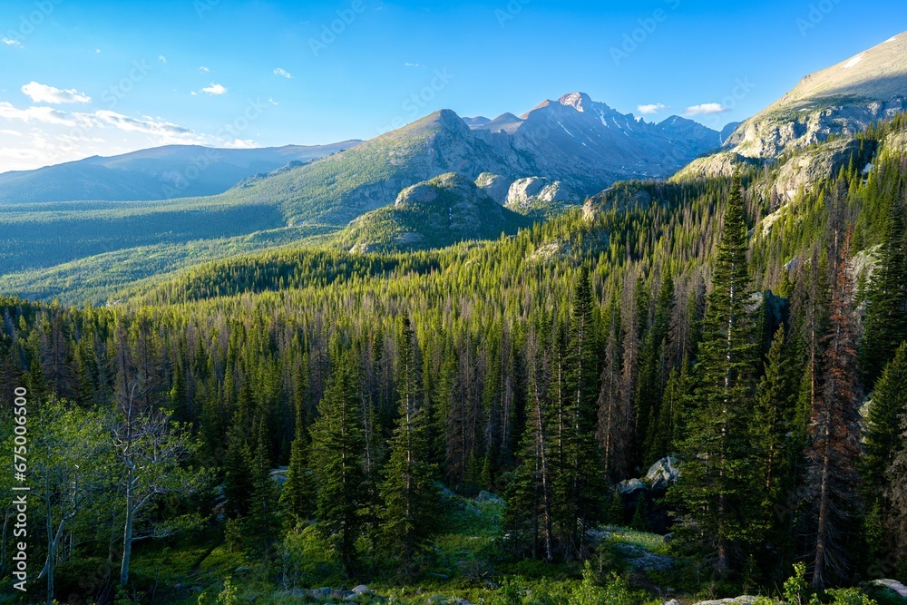 Scenic landscape featuring a range of mountains surrounded by lush evergreen trees
