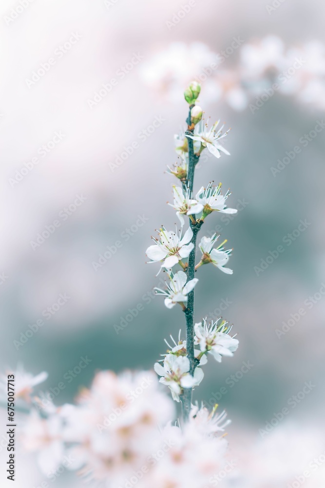AI generated image of blooming white flowers AI generated image of blooming white flowers