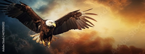 an eagle with wings spread over the ground in front of dark clouds photo