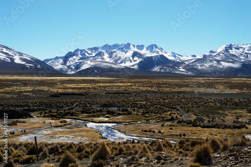 Beautiful landscape in sajama national park composed of mountains with snow in the background. photo
