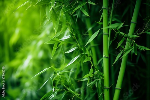 AI generated illustration of a lush green bamboo grove with a tall bamboo trees