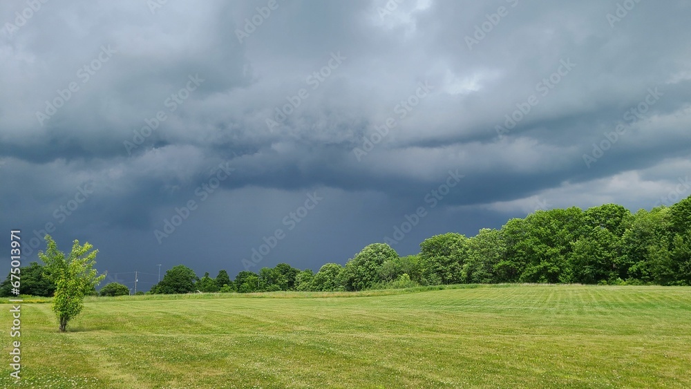 Grassy field blanketed in clouds with rain falling from the sky.