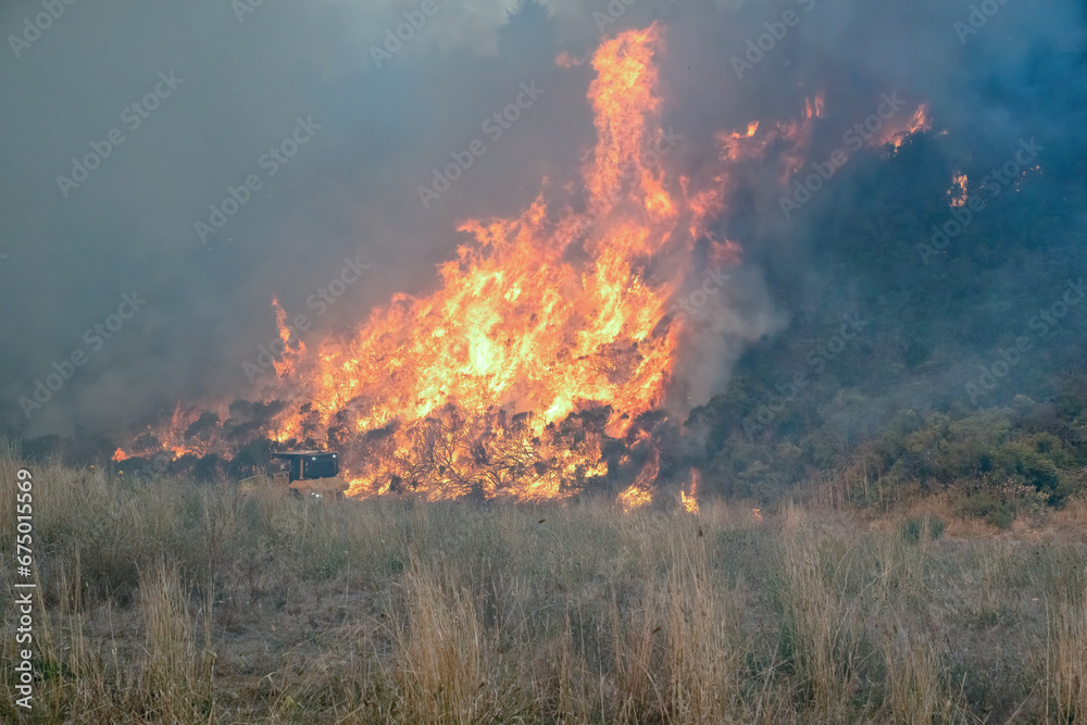 Fototapeta premium Wildfire in California with Flames and Smoke