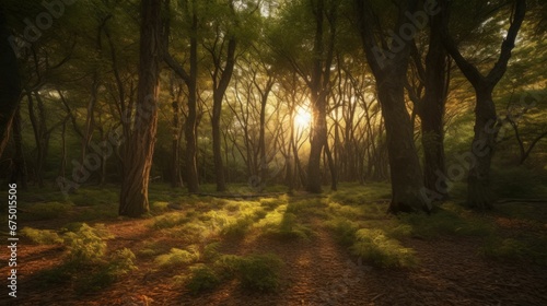 AI-generated illustration of a forest under the bright sunlight during the golden hour © Wirestock