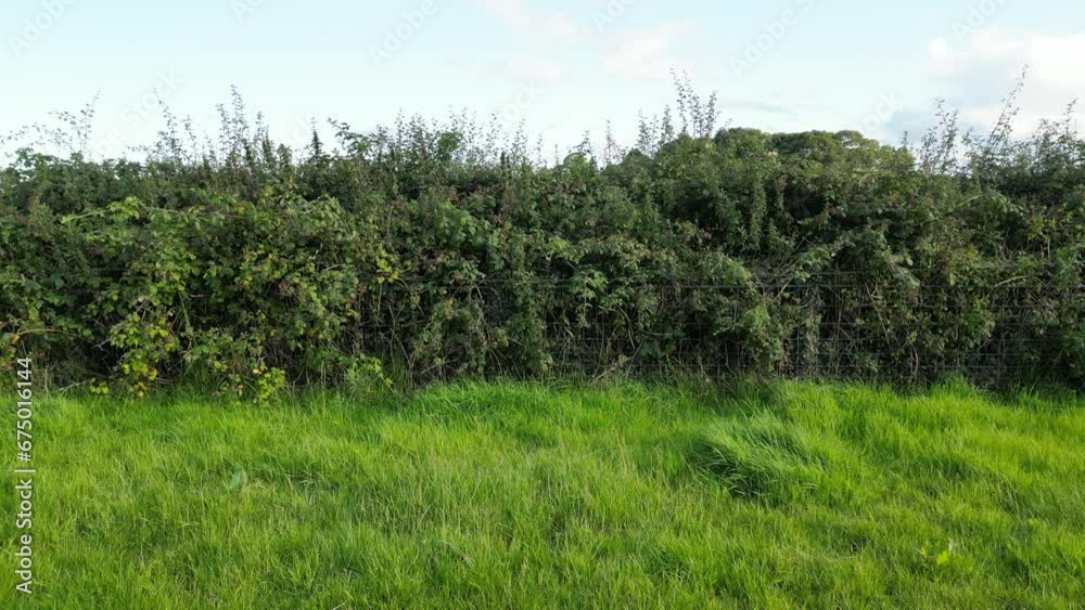 Aerial video of a beautiful green farm field on a valley with a river on the background Aerial video of a beautiful green farm field on a valley with a river on the background
