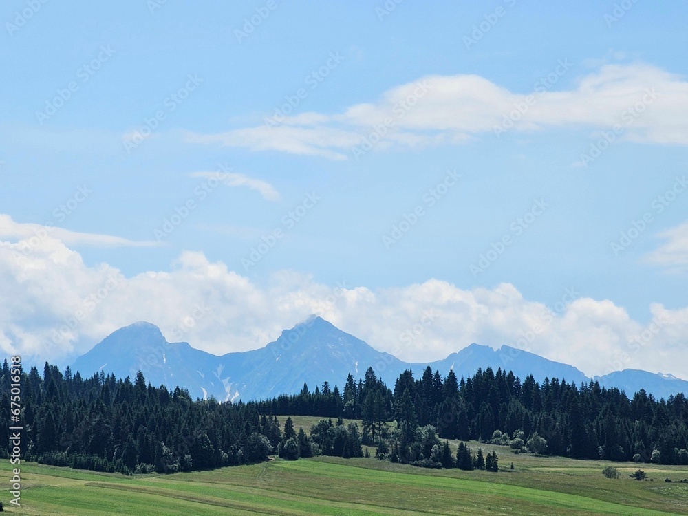 Scenic landscape view of a vast pasture field with a majestic mountain range in the background
