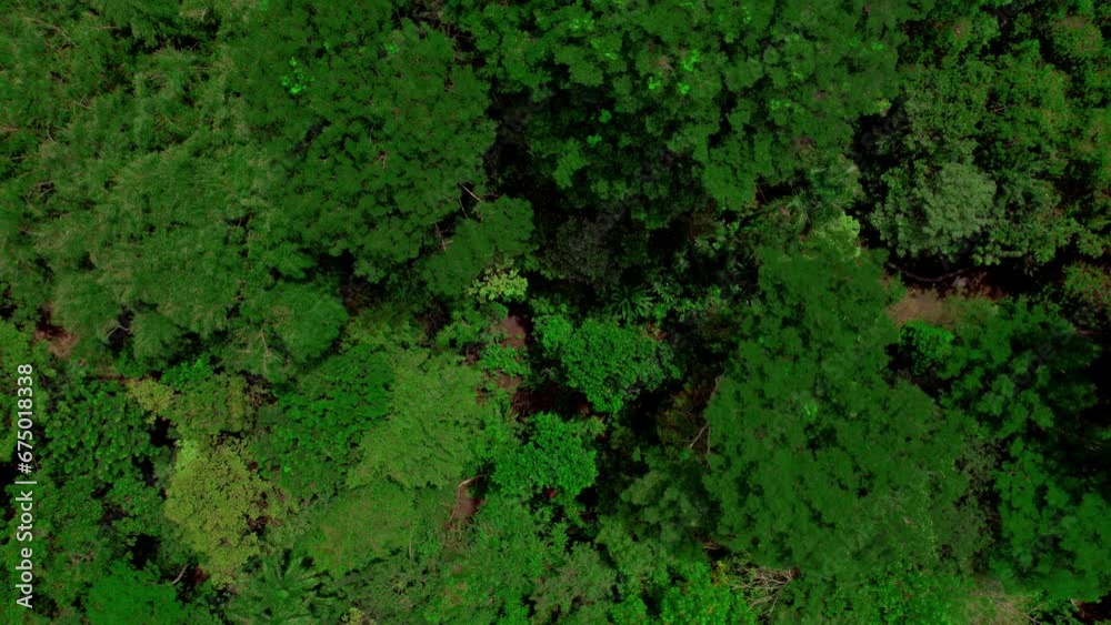 Rescue Wildlife Center. Aerial view from above with drone of the best nature reserve with lots of wildlife. Costa Rica Rescue Wildlife Center. Aerial view from above with drone of the best nature reserve with lots of wildlife. Costa Rica