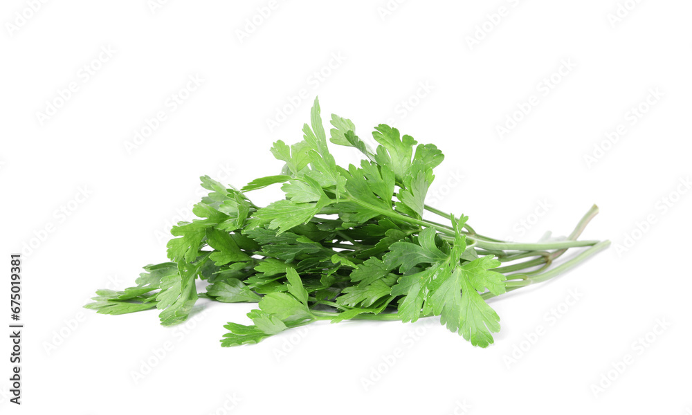 Sprigs of fresh green parsley leaves isolated on white Sprigs of fresh green parsley leaves isolated on white