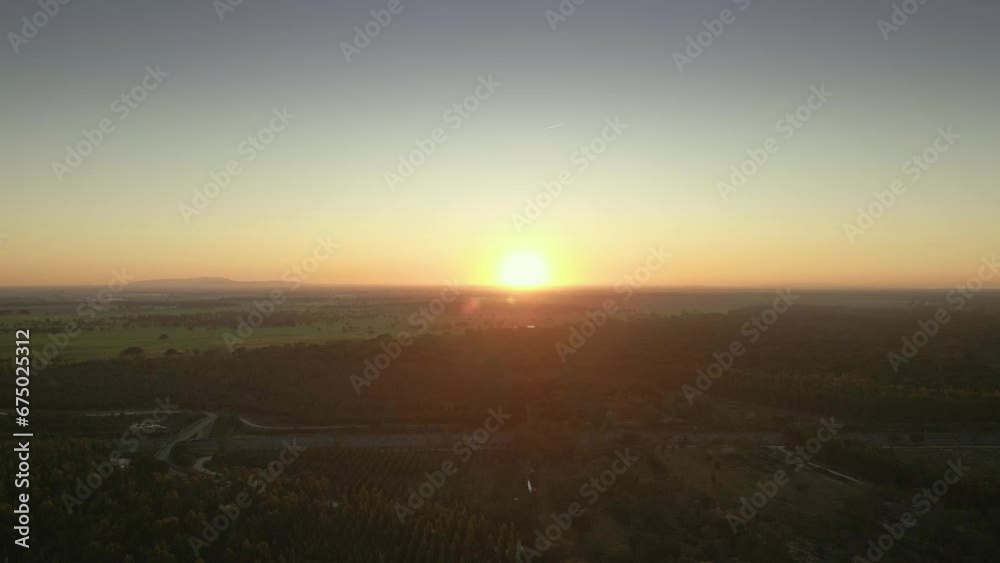 Aerial of a wide green forest with the sunset and the horizon in the background