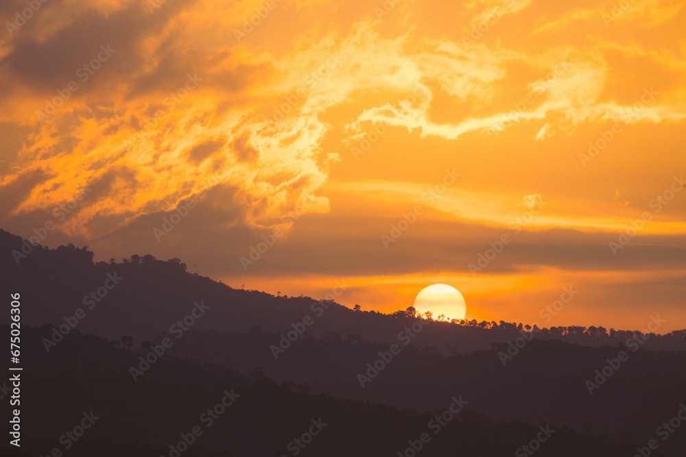 Vibrant orange sky illuminated with a sunrise and silhouetted trees in the foreground.