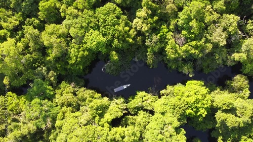 Anavilhanas national park - amazon forest photo