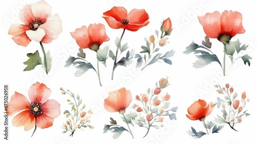 Fototapeta Naklejka Na Ścianę i Meble -  AI generated illustration of a collection of watercolor red poppy flowers in various stages of life
