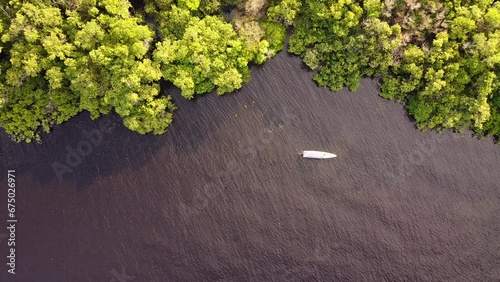 Anavilhanas national park in Brazilian amazon forest photo