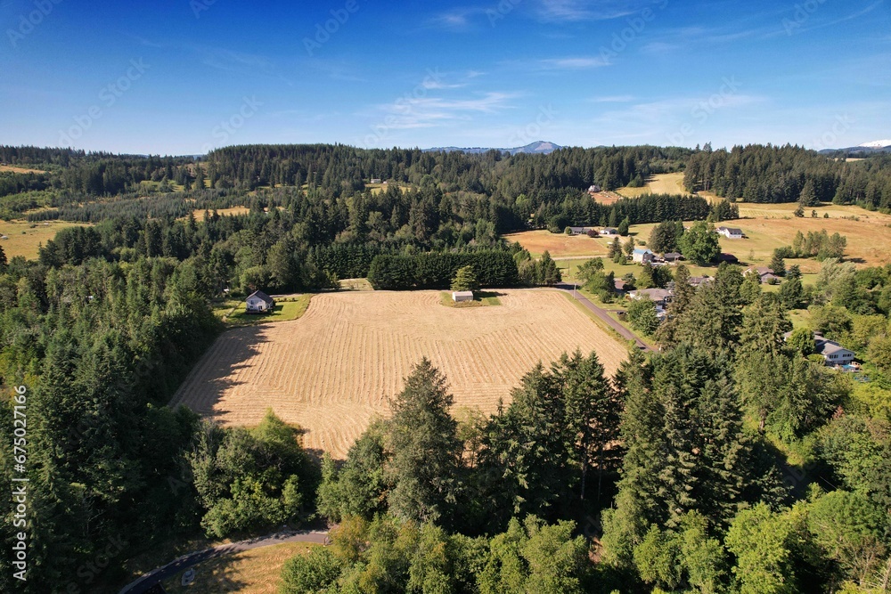 Aerial view of a lush green mowed hay field on a sunny day in summer. Southern Washington hillside
