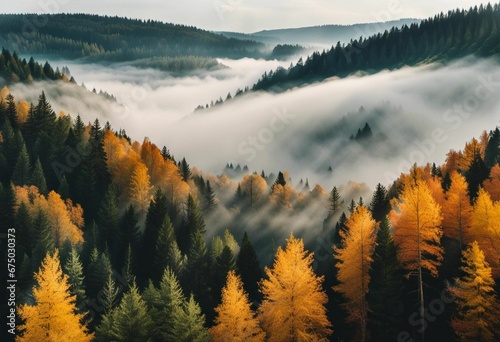 foggy mountains and trees with fog in the background and the sky © Wirestock