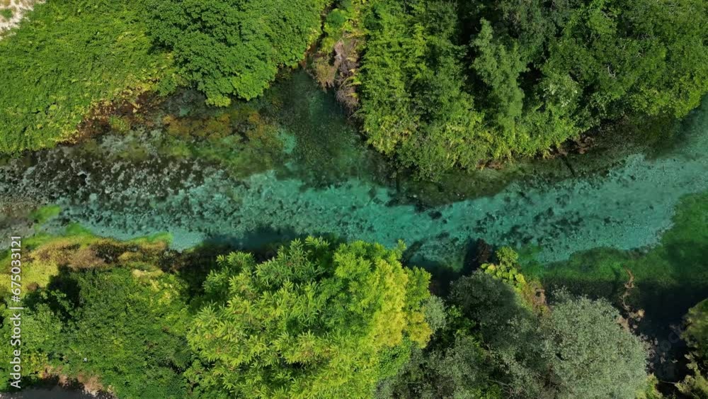 Aerial top view video of the river surrounded by green forest on the shore Aerial top view video of the river surrounded by green forest on the shore