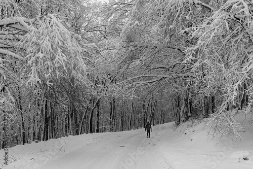 Scenic view of a person walking in a forest covered with snow in winter in grayscale