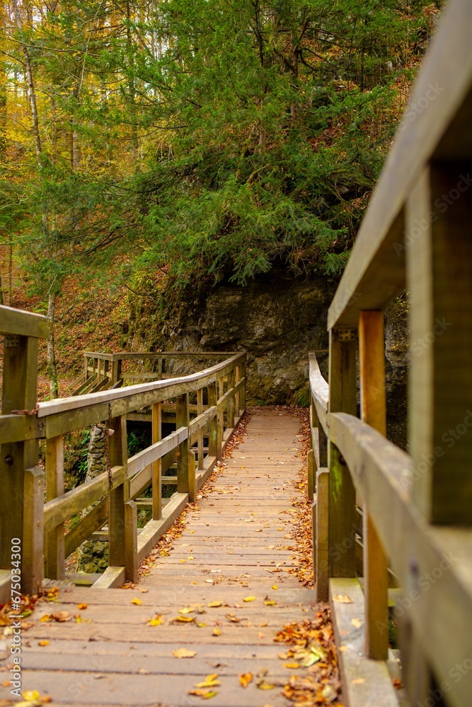 Obraz premium a wooden footbridge crossing over a river into the woods