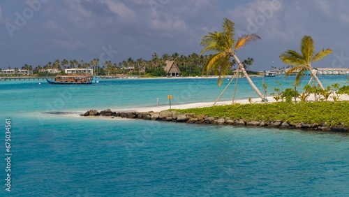 Tropical island featuring several palm trees on the sandy beach in the foreground