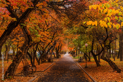 Canvas Print City boulevard on a cloudy day with autumn trees