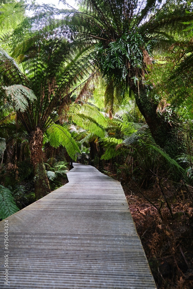 Scenic pathway surrounded by lush vegetation