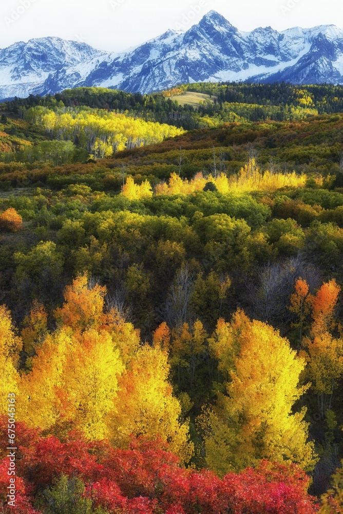 Picturesque landscape featuring a cluster of autumn trees in a mountain setting in Oregon