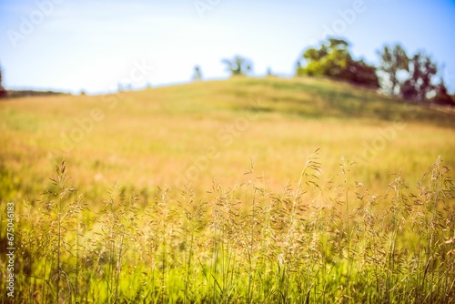 Beautiful landscape featuring a lush green grassy area with a rolling hill in the background photo