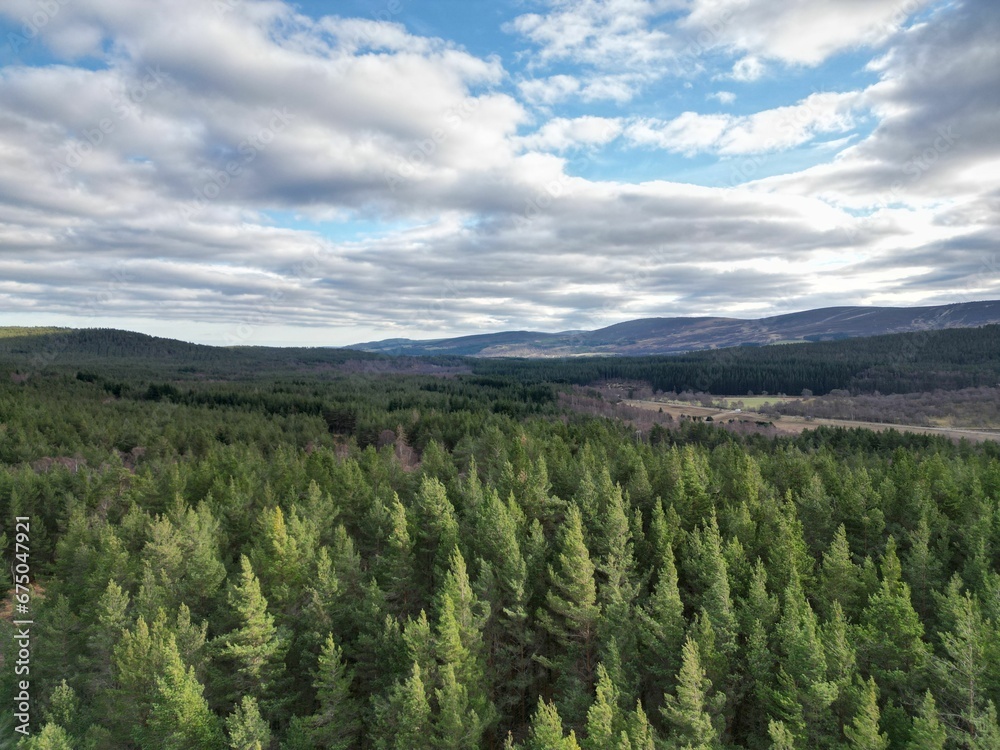 Obraz premium the view from above a forest of green trees and mountains