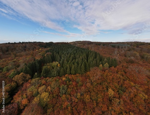 Aerial view of a lush deciduous forest beneath a beautiful blue sky in Denmark