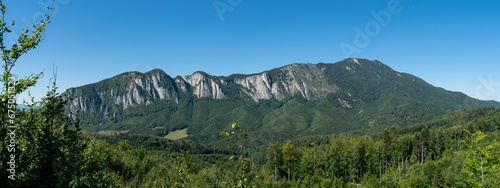 the tall mountains are visible from a grassy meadow below them
