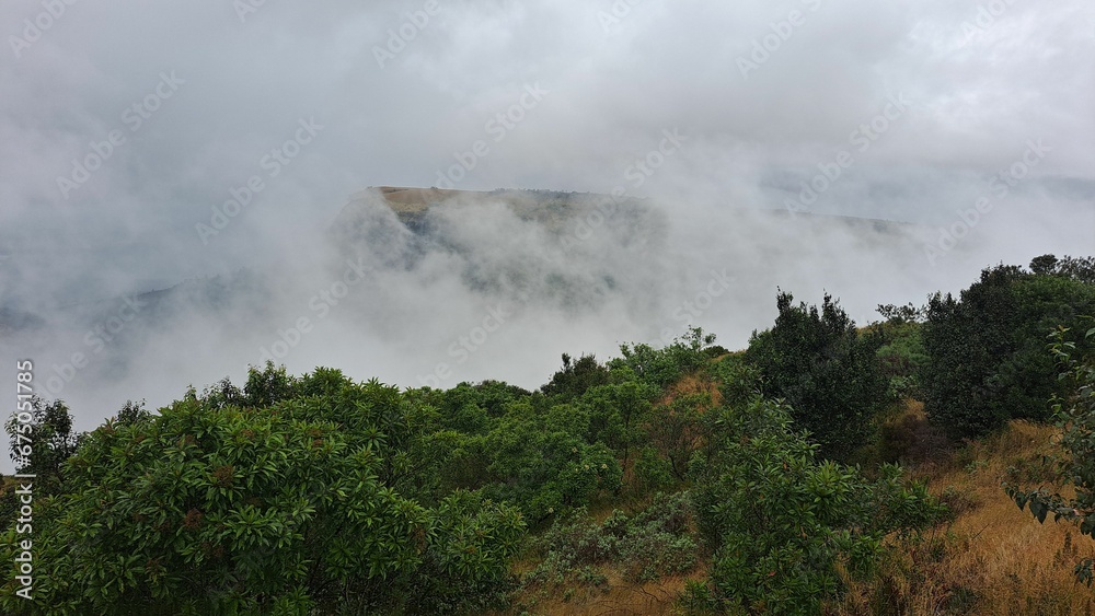 clouds over an area with grass, shrubs and trees covered in fog