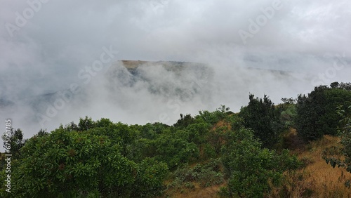 clouds over an area with grass, shrubs and trees covered in fog