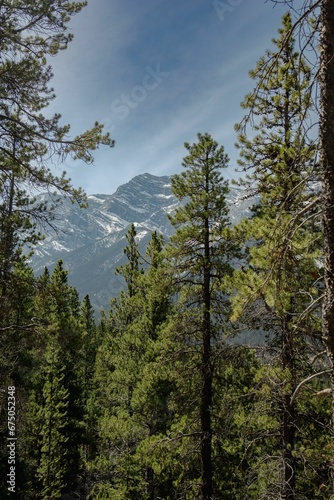 Scenic landscape featuring a group of snow-covered trees with a majestic mountain backdrop © Wirestock