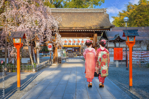 Young Japanese woman in traditional Kimono dress strolls at  Hirano-jinja Shrine during full bloom cherry blossom season © coward_lion