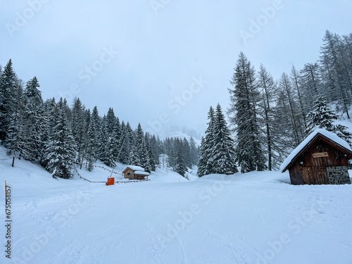 Picturesque winter scene featuring a ski slope surrounded by trees © Wirestock