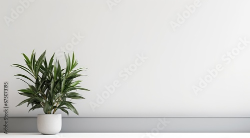 Plant on white sheet with white background. © Goojournoon