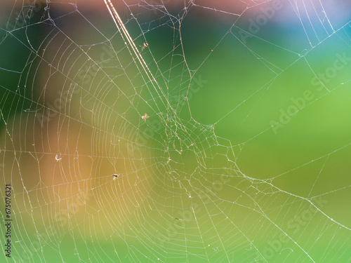 The spider web  cobweb  closeup background.