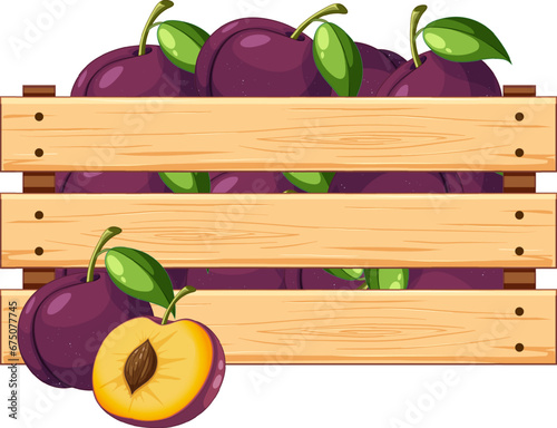 Isolated Wooden Crate Full of Plums